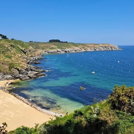 Maison Recente A 200m De La Cote Sauvage, Jardin, Animaux Acceptes - Fr-1-418-67 * Locmaria