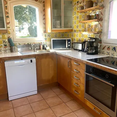 Maison Recente A 200m De La Cote Sauvage, Jardin, Animaux Acceptes - Fr-1-418-67 *
